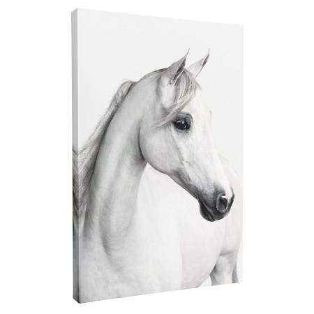 Tablou canvas cu cai, alb, pentru hol, dormitor [1]