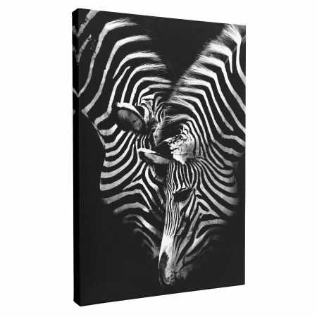 Tablou canvas modern cu Zebre, alb negru, pentru hol, dormitor [1]