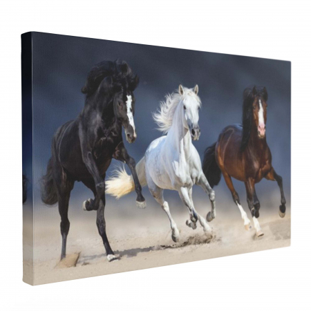 Tablou canvas, cu Cai, elegant, pentru sufragerie [1]