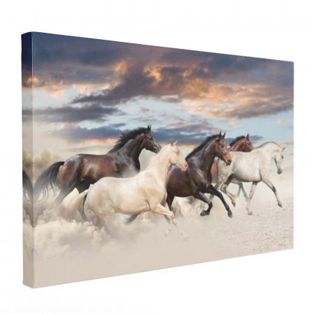 Tablou canvas, Cai in galop, pentru dormitor [1]
