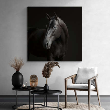 Tablouri Animale si Pasari - Tablou canvas, modern, Animale, Cal negru, pentru hol, living
