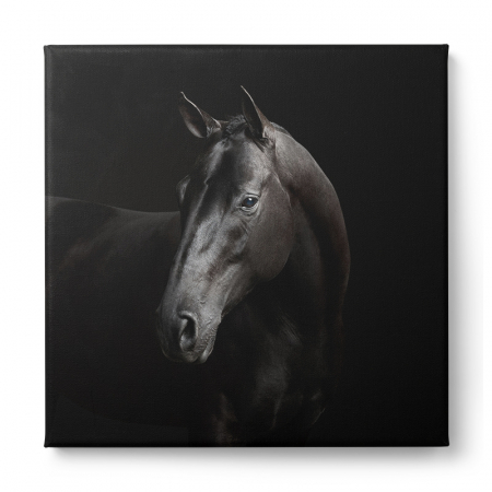 Tablou canvas, modern, Animale, Cal negru, pentru hol, living [1]