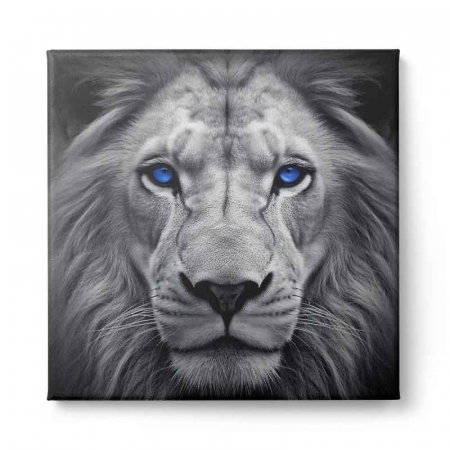 Tablou canvas, modern, Animale, Lei, gri pe fundal negru, pentru hol, living [1]