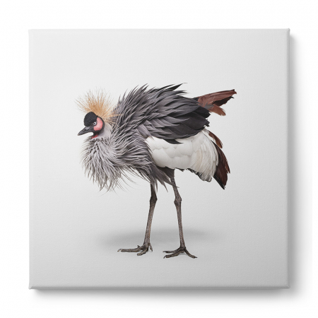 Tablou canvas, modern, Animale, Strut pe fundal alb, pentru hol, bucatarie [1]