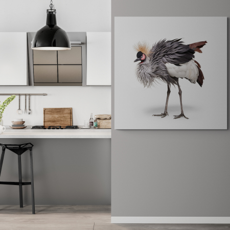Tablouri Animale si Pasari - Tablou canvas, modern, Animale, Strut pe fundal alb, pentru hol, bucatarie