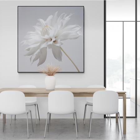Tablouri cu Flori - Tablou canvas, modern, cu Floare alba, pentru bucatarie
