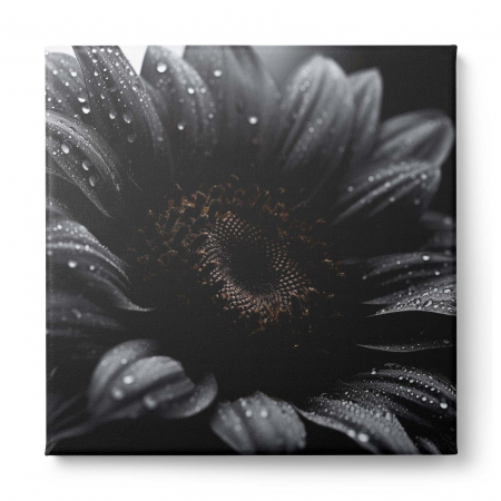 Tablou canvas, modern, cu floare pe fundal negru, pentru living [1]