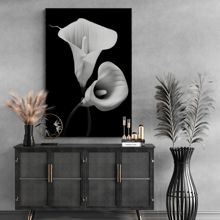 Tablouri cu Flori - Tablou canvas, modern, cu flori, Cala alba pe fundal negru, pentru living