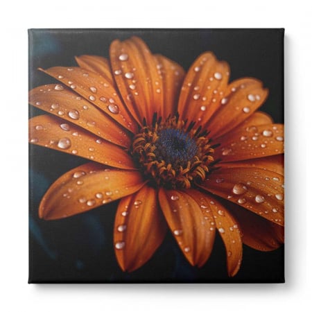 Tablou canvas, modern, cu flori, margareta portocalie pe fundal negru, pentru birou, hol [1]