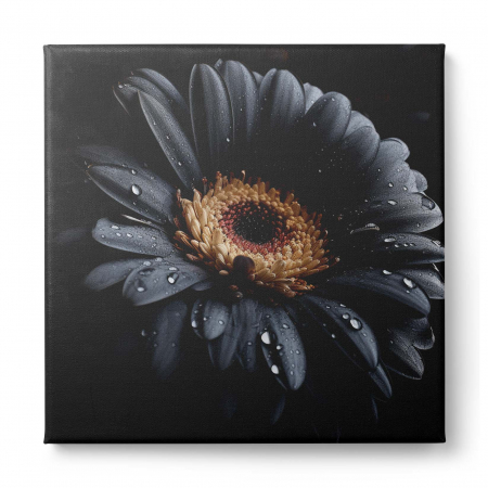 Tablou canvas, modern, cu flori, margarete pe fundal negru, pentru bucatarie, hol [1]