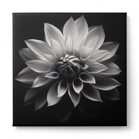 Tablou canvas, modern, Floare, alb-negru, pentru living, dormitor [1]