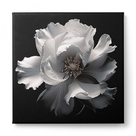 Tablou canvas, modern, Floare alba pe fundal negru, pentru living, hol [1]