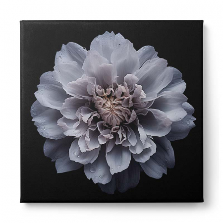 Tablou canvas, modern, Floare lila pe fundal negru, pentru living, hol [1]