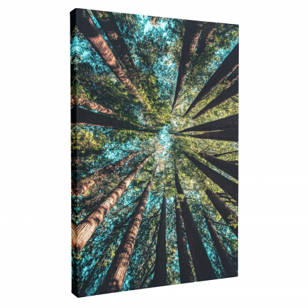 Tablou canvas modern cu peisaj abstract de copaci. [1]