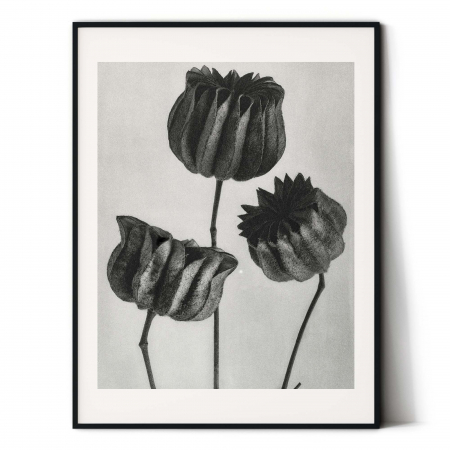 Tablou decorativ, Intaglio, Modern, alb negru, Flori ornamentale, print pe hartie foto Fine Art, neinramat, pentru living, birou [1]