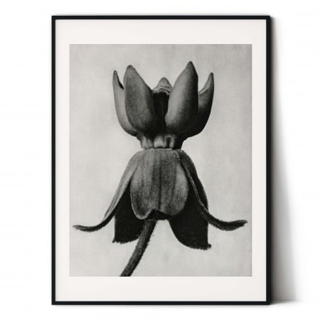 Tablou decorativ, Intaglio, Modern, alb negru, Flori ornamentale, print pe hartie foto Fine Art, neinramat, pentru living, birou, hol [2]
