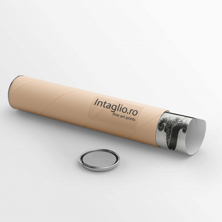 Tablou decorativ, Intaglio, Modern, alb negru, Flori ornamentale, print pe hartie foto Fine Art, neinramat, pentru dormitor, baie, hol [3]