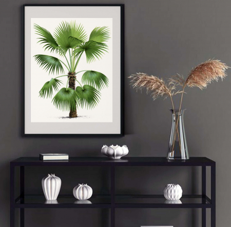 Tablouri cu Flori - Tablou decorativ, Intaglio, Modern, color, Copac de palmier verde, print pe hartie foto Fine Art, neinramat, pentru baie