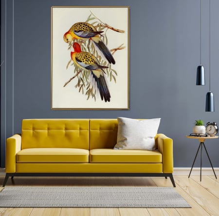Tablouri Animale si Pasari - Tablou canvas modern cu păsări multicolore, neînrămat