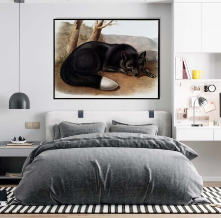 Tablouri Animale si Pasari - Tablou abstract modern Vulpe Neagră neinramat