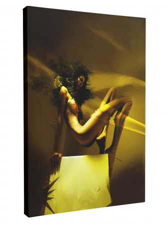 Tablouri Nud Artistic [1]