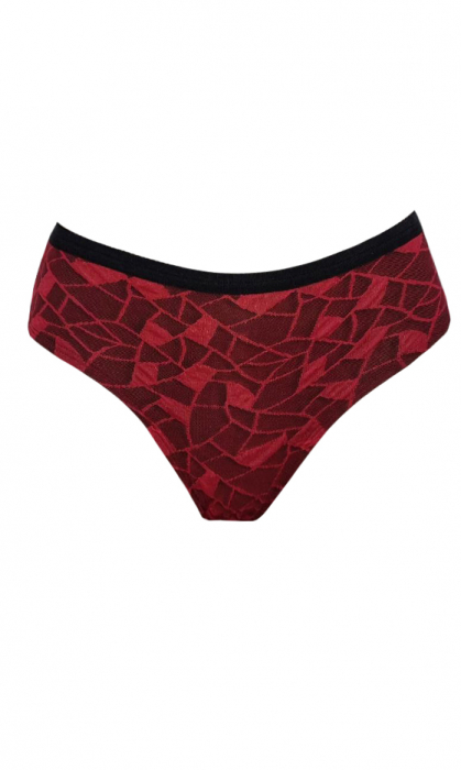 Boxer brazilian [3]