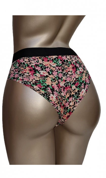Boxeri brazilieni [2]
