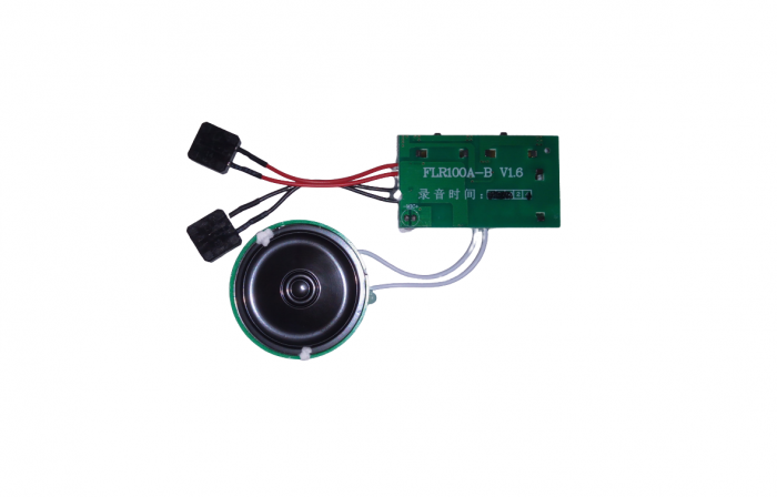 Modul inregistrare voce OKYN3166 [2]