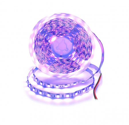Banda led - Banda led 5m UV 5050, 12V, 60LED/m, IP20