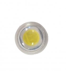 Bec auto led T10 12V alb rece cu lupa transparenta 3030 [1]