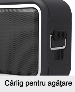 Boxa portabila 10W HFD-895, NFC, BT, PowerBank, MicroSD [1]