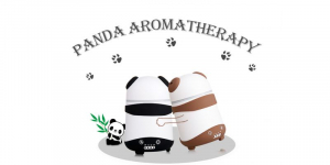 Aromaterapie - Difuzor umidificator aromaterapie ursulet Panda negru / maro