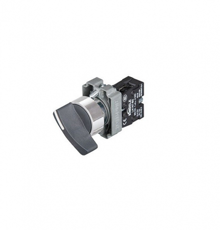 Intrerupatoare si comutatoare de circuit - Comutator fara retinere 1-(0) LA167-B2-BJ41