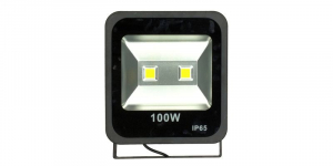 Proiector LED 100W, alb cald, 2x50W LED, IP65, 220V [0]