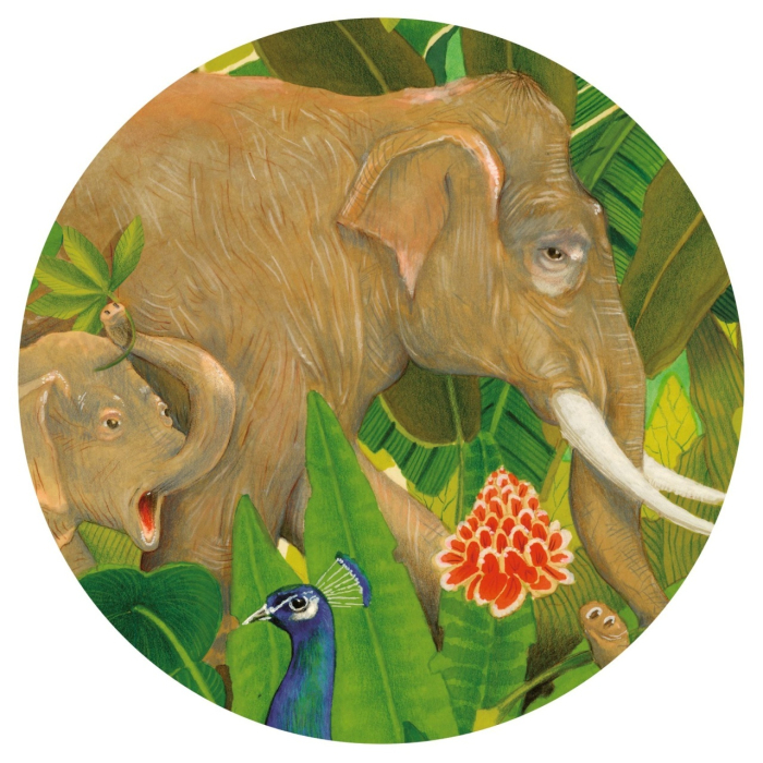 Puzzle galerie Ascuns in natura, Djeco [2]