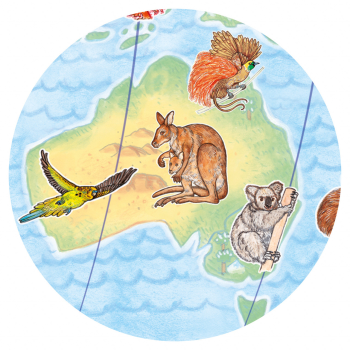 Puzzle observatie Animalele lumii, Djeco [4]