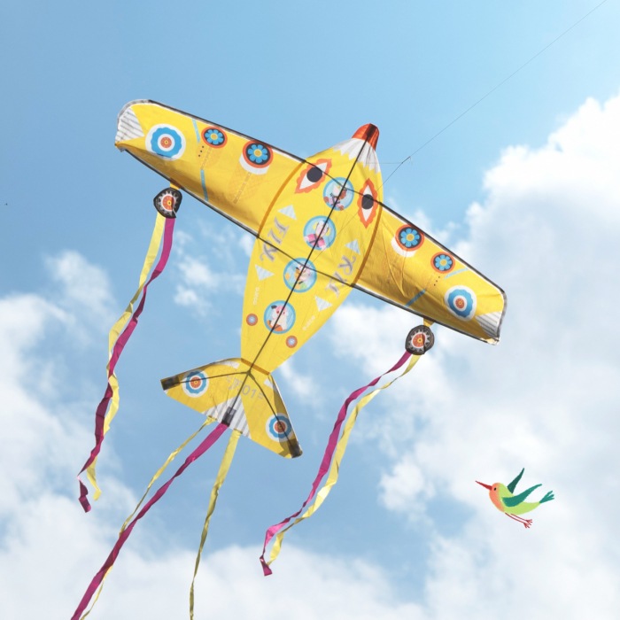 Zmeu Cel mai mare avion, Djeco [5]