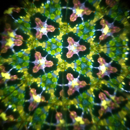 Caleidoscop rotativ Pasari din padure Svoora [2]