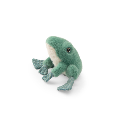 Noutati - Jucarie de plus Broscuta verde, Moulin Roty