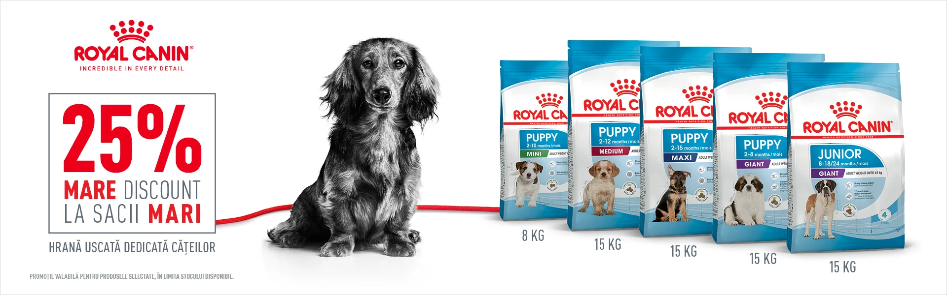 Super reduceri la hrana de juniori Royal Canin