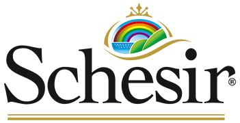 Schesir