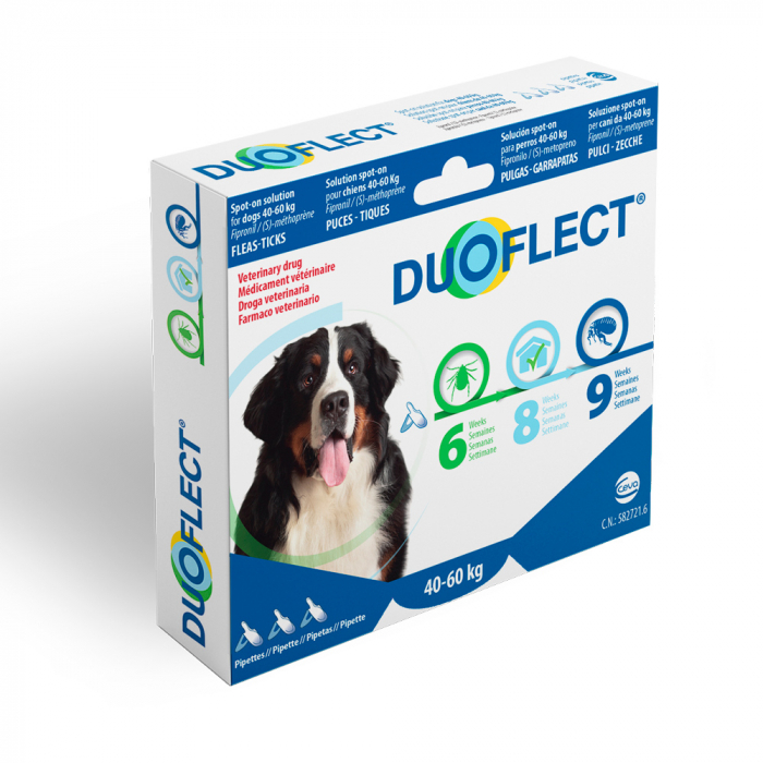 Duoflect DOG [2]