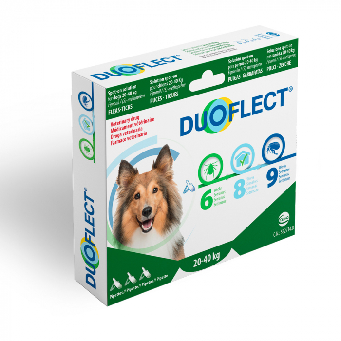 Duoflect DOG [3]