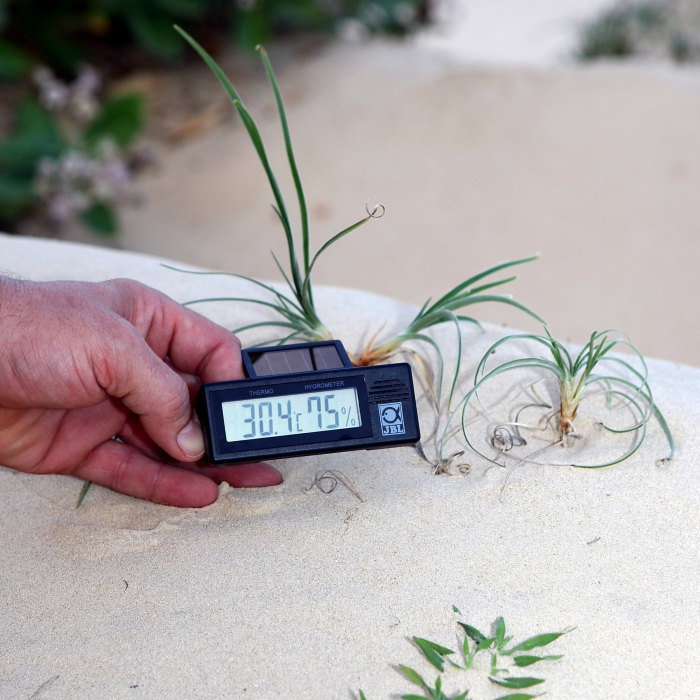 JBL TerraSand white 7,5 kg [4]