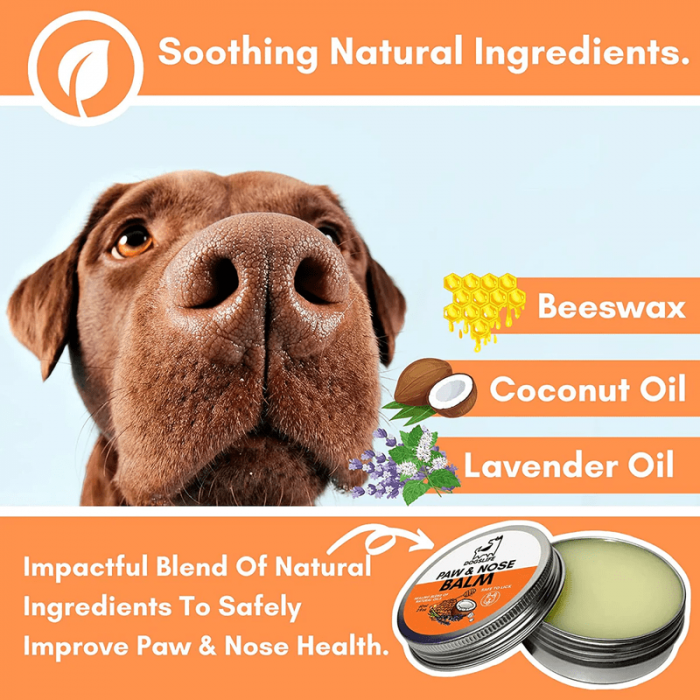 Balsam pentru nas si labute, Dogslife Paw & Nose Balm, 60 ml [4]