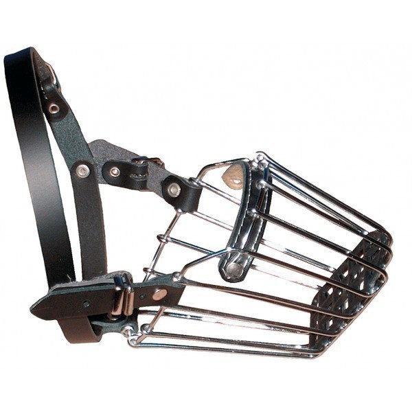 Botnita Dingo NR.7 Rottweiler [2]