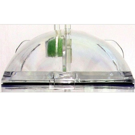 JBL Artemio Cap [2]