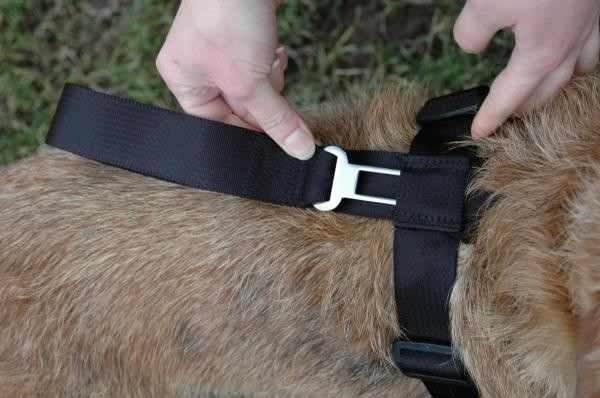 Centura siguranta pentru caine,The Company Of Animals Car Safe [3]