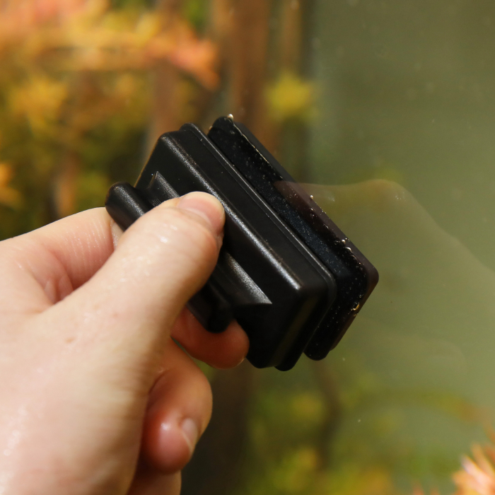 JBL Algae Magnet [6]