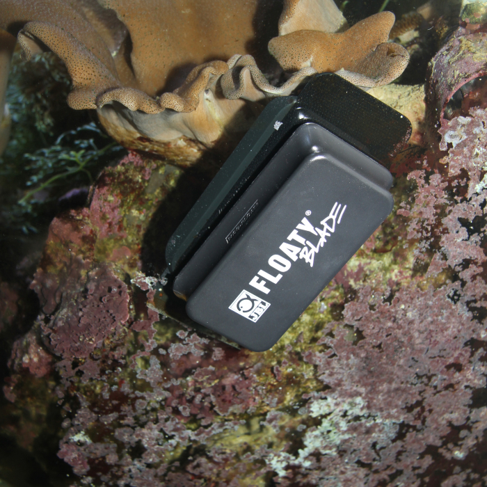 JBL Floaty Blade [5]